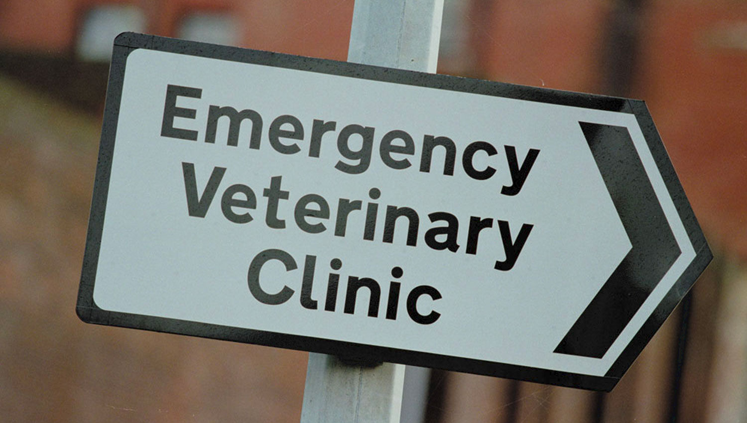 Nantwich Equine Vets