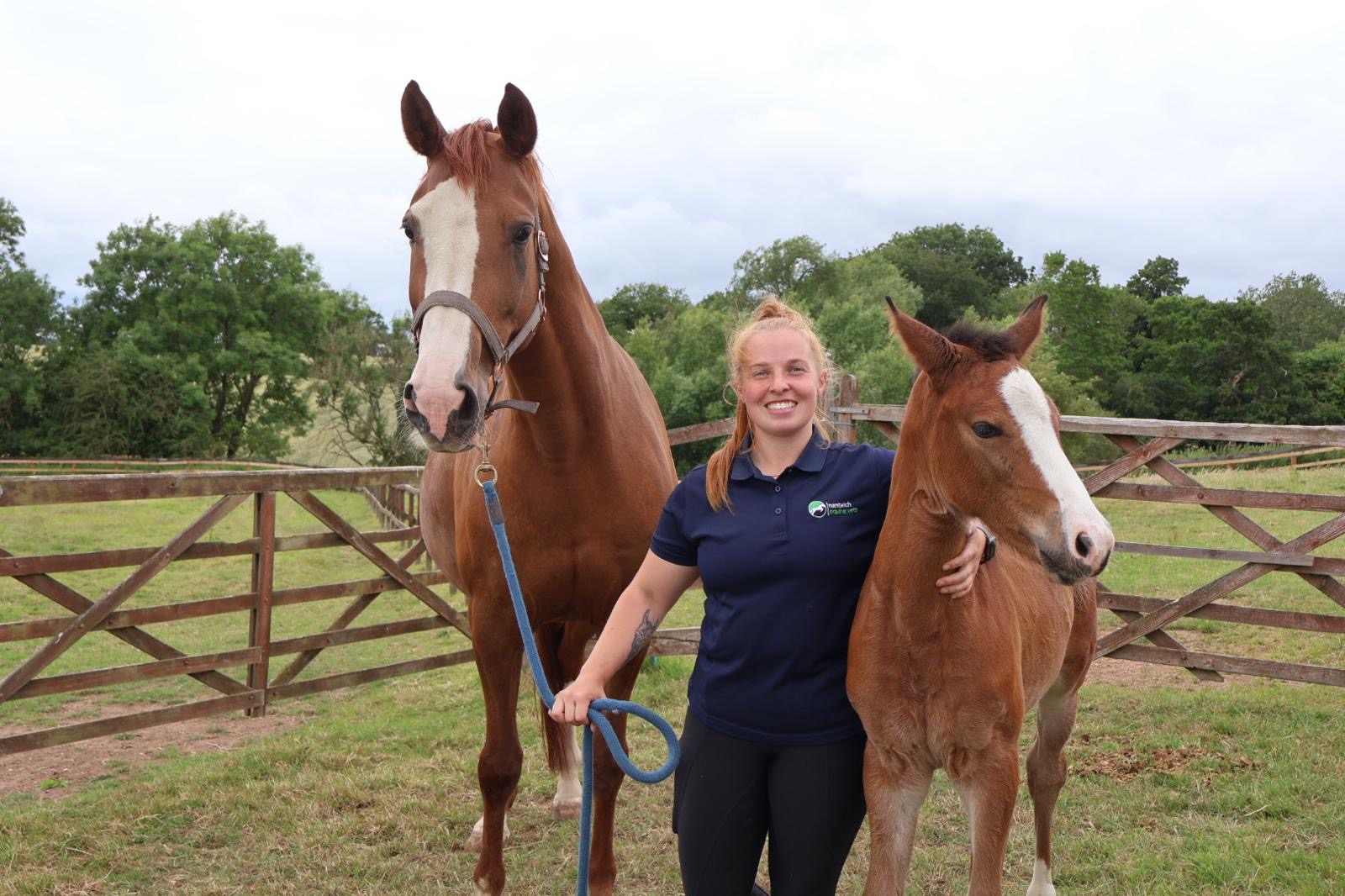 Nantwich Equine Vets
