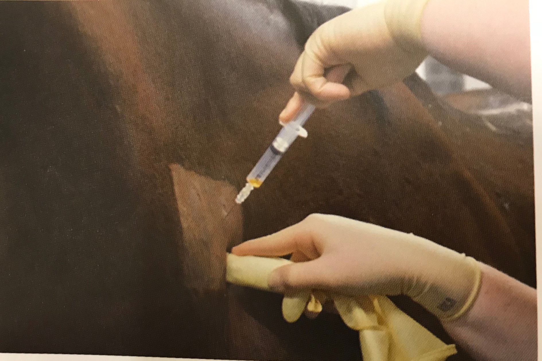 Nantwich Equine Vets