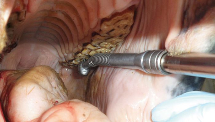 Dentistry