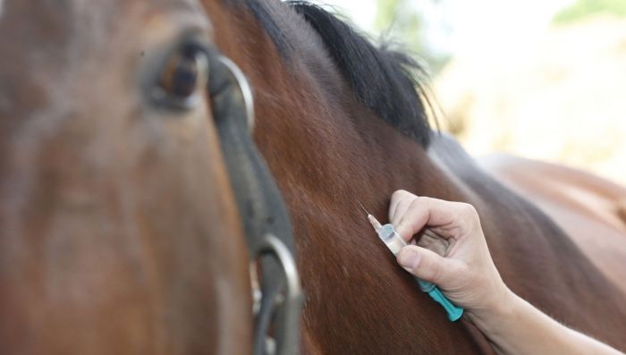 Vaccinations