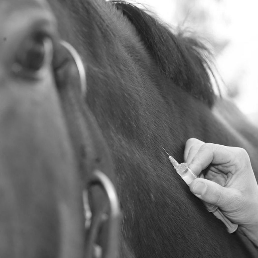 Vaccinations